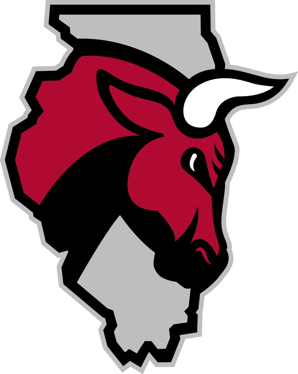 Windy City Bulls 2016-Pres Secondary Logo iron on heat transfer